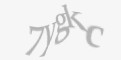 Защитный код