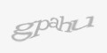 Защитный код
