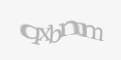 Защитный код