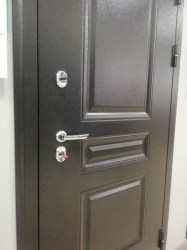 215/ПоларисВенге5